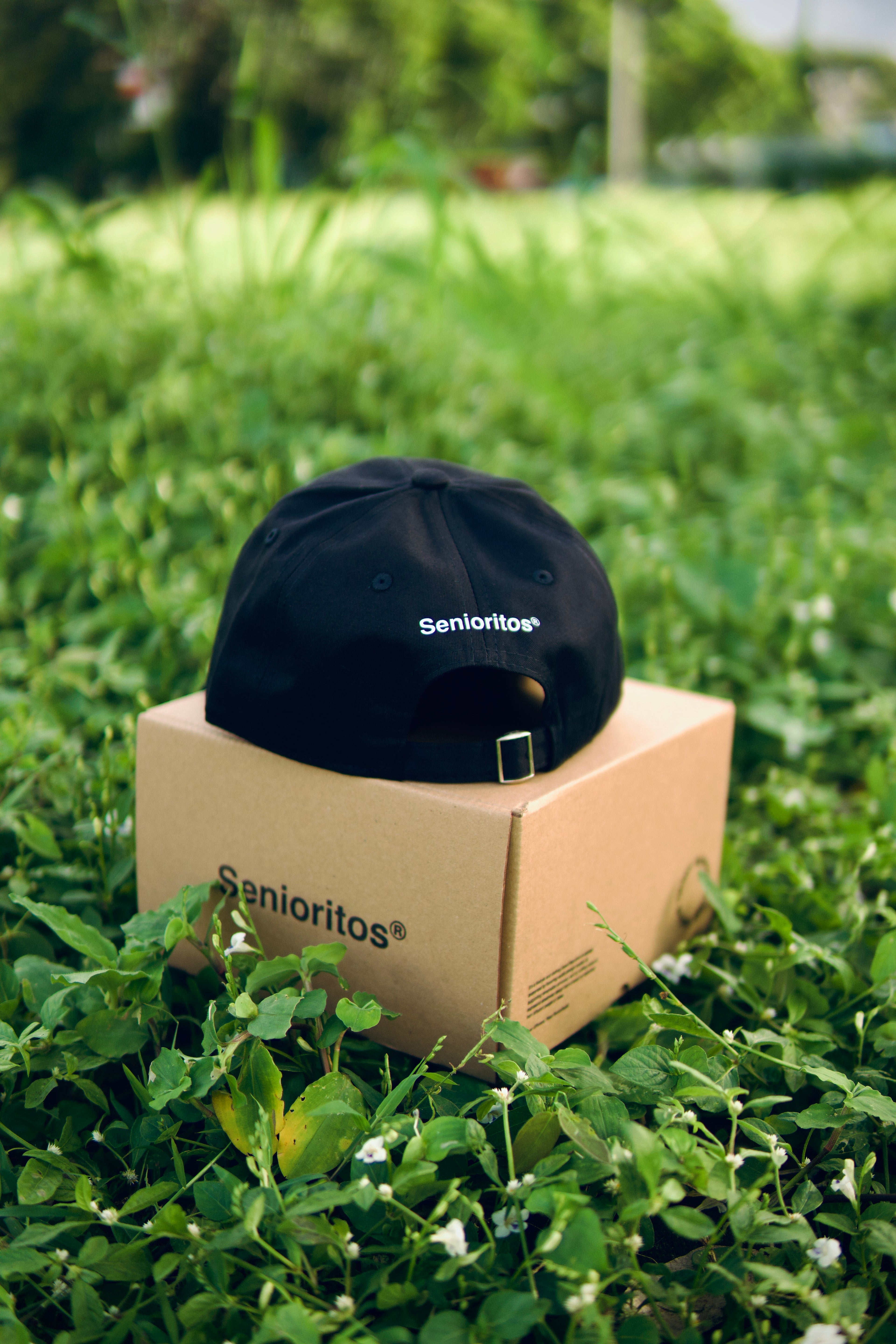 TPC NO CAP DADCAP | BLACK | TPCxSENIORITOS® COLLABORATION